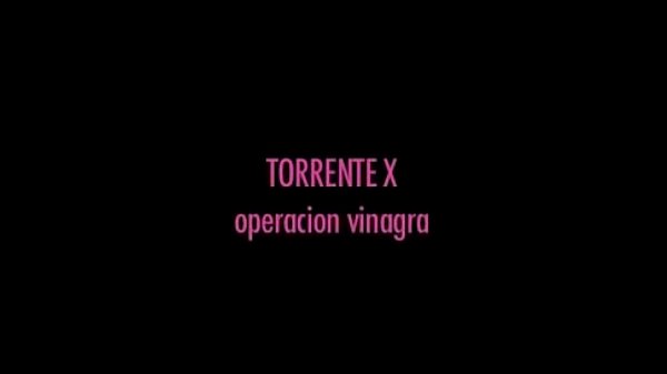 Porn torrent